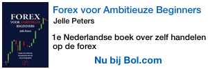 forex voor ambitieuze beginners